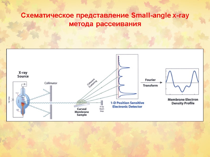 Схематическое представление Small-angle x-ray метода рассеивания